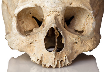 Image showing skull on white