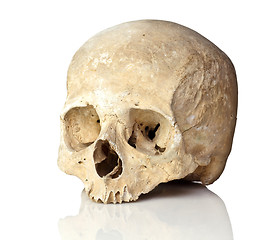 Image showing skull on white