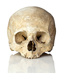 Image showing skull on white
