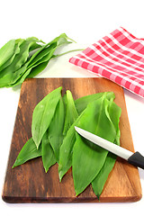 Image showing Wild garlic