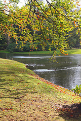 Image showing Autumn forest