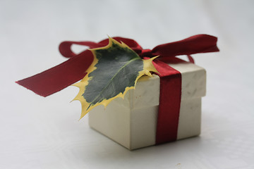Image showing Small christmas gift