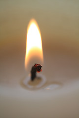 Image showing Burning candle