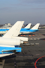 Image showing Aircraft tails on the gate