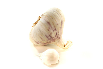 Image showing Garlic