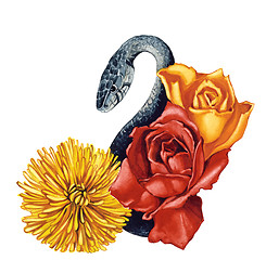 Image showing snake and flowers