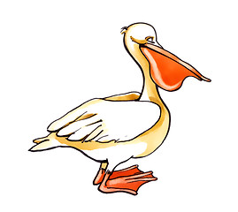 Image showing pelican