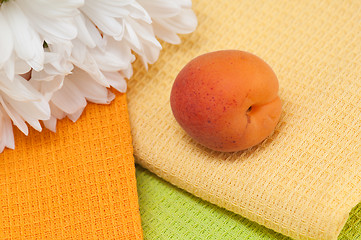 Image showing The ripe apricot lays on towels