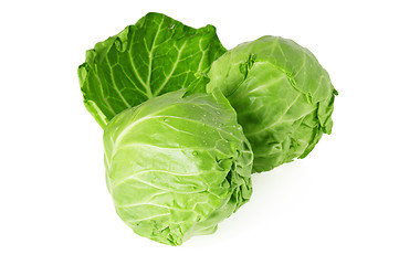 Image showing  young cabbage, it is isolated on white 