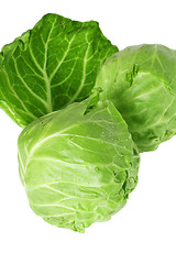 Image showing  young cabbage, it is isolated on white 