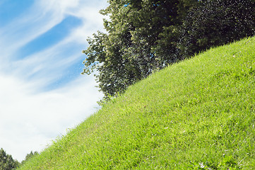 Image showing Having watered lawns