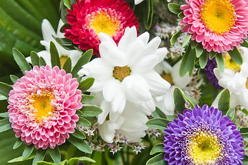 Image showing Bouquet summer of florets