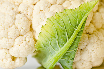 Image showing Cauliflower