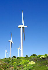 Image showing wind turbine