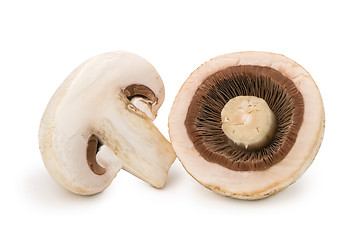 Image showing  two halves of the mushroom champignon