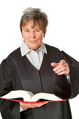 Image showing Lawyer with Statute book