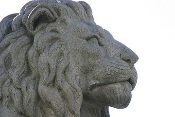 Image showing Lion Statue Detail