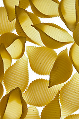 Image showing Conchiglie