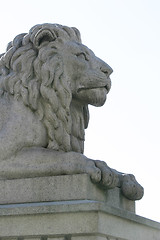 Image showing Lion Statue