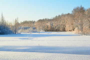 Image showing Winter Landscape And Trees