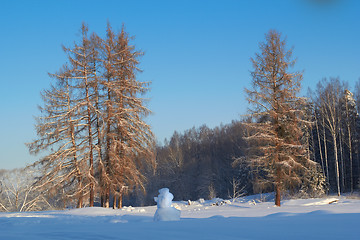 Image showing Winter Landscape And Trees