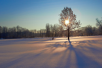 Image showing Sunny winter morning