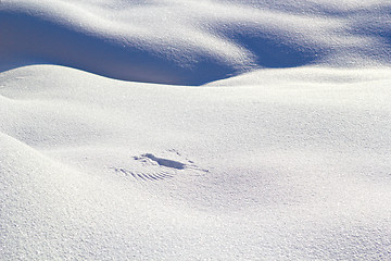 Image showing Wing Traces On The Snow.