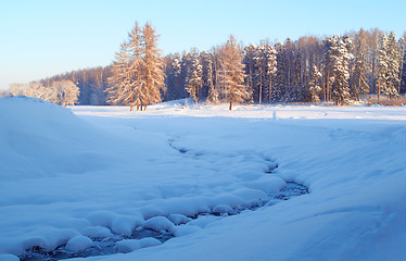 Image showing Winter Landscape And Trees