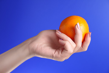 Image showing woman holds in her hand oranges