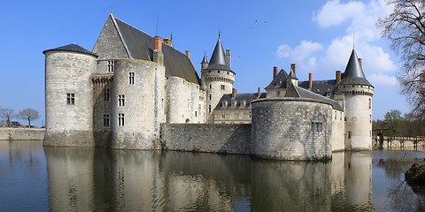 Image showing Castle