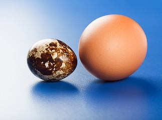 Image showing Chicken and quail eggs