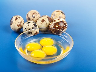 Image showing Whole and broken quail eggs