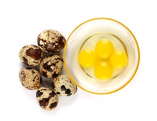 Image showing Whole and broken quail eggs