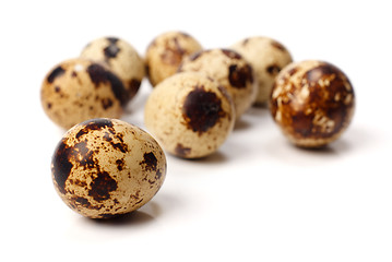 Image showing Quail eggs