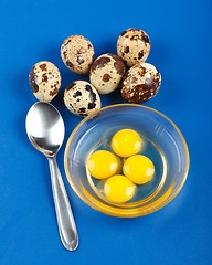 Image showing Whole and broken quail eggs