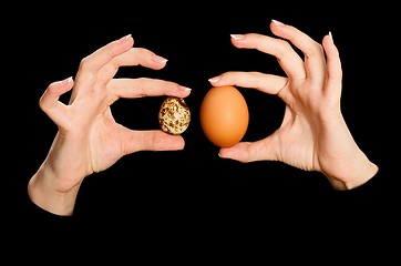 Image showing Quail and chicken egg