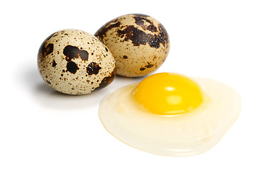 Image showing Raw quail eggs