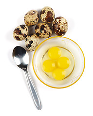Image showing Raw quail eggs and spoon