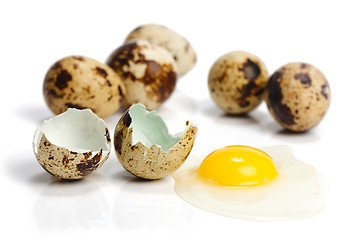 Image showing Raw quail eggs