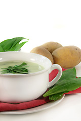 Image showing Wild garlic soup