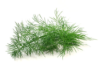 Image showing Dill