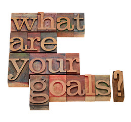 Image showing what are your goals question