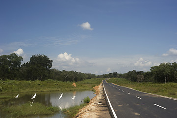 Image showing Country road in Sri Lanka