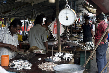 Image showing Fish market