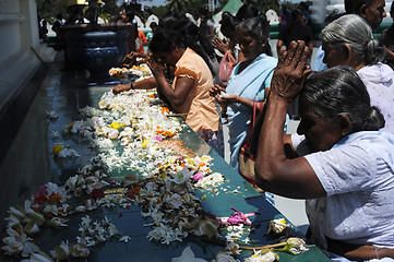 Image showing Dambulla Golden Temple