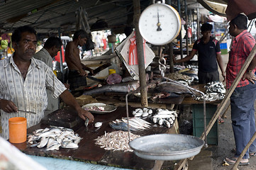 Image showing Fish market