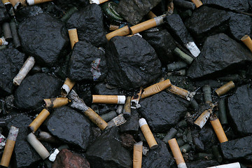 Image showing Cigarette Texture