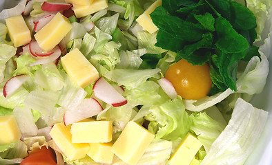 Image showing Cheese, lettuce and radish salad