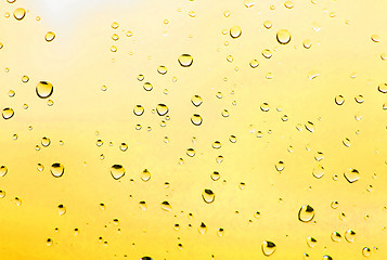 Image showing Olive oil