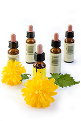 Image showing bach flower extracts